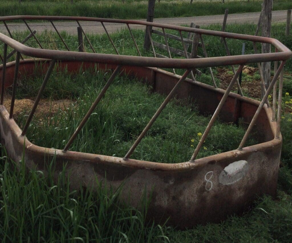 Kevin Hill AuctionIMG_5062 - Montana Auctions by Kevin Hill